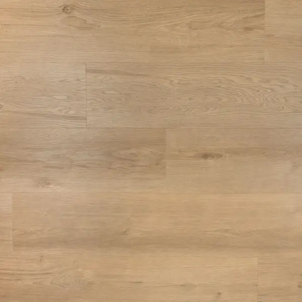 DOUWES DEKKER - RIANTE PLANK GEMBERKOEK