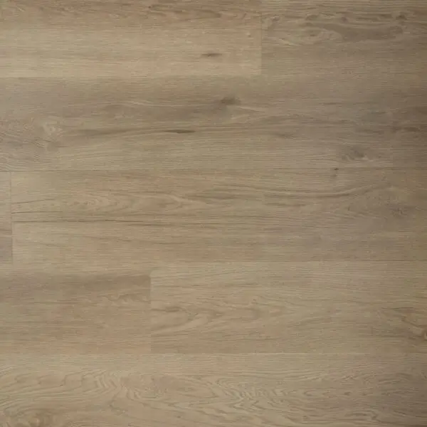 DOUWES DEKKER - RIANTE PLANK SPEKKOEK