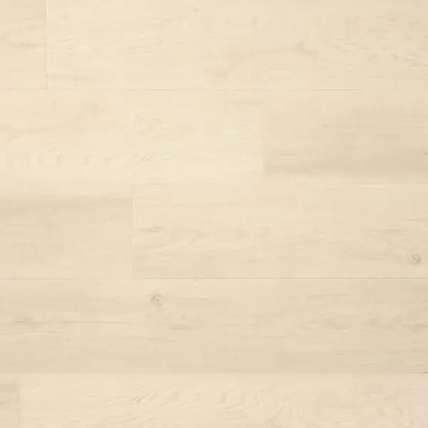 DOUWES DEKKER - RIANTE PLANK PEPERKOEK