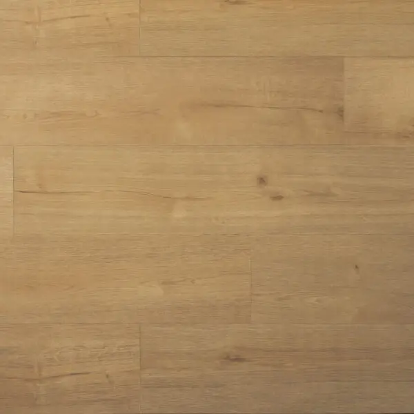 DOUWES DEKKER - PLANK KLETSKOP