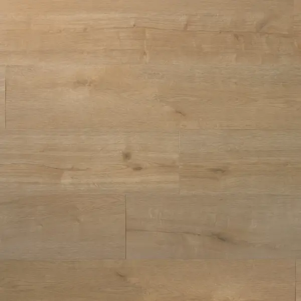 DOUWES DEKKER - PLANK WAFEL