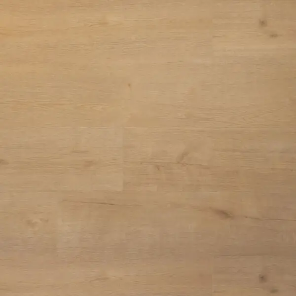 DOUWES DEKKER - PLANK BISCUIT
