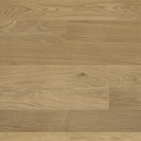 DOUWES DEKKER -  PLANK KANEEL