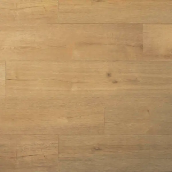 DOUWES DEKKER - SPC PLANK KLETSKOP