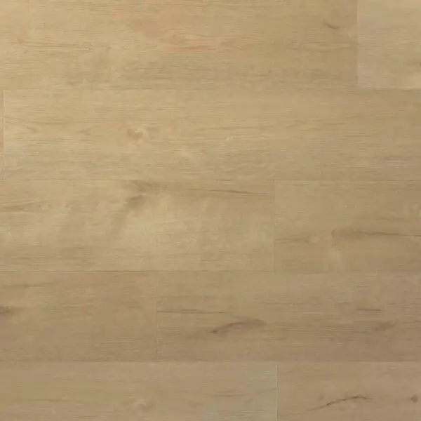 DOUWES DEKKER - SPC PLANK SPRITS