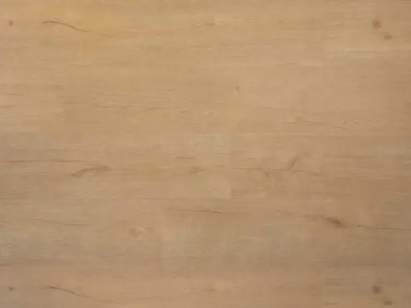 DOUWES DEKKER - SPC PLANK BISCUIT