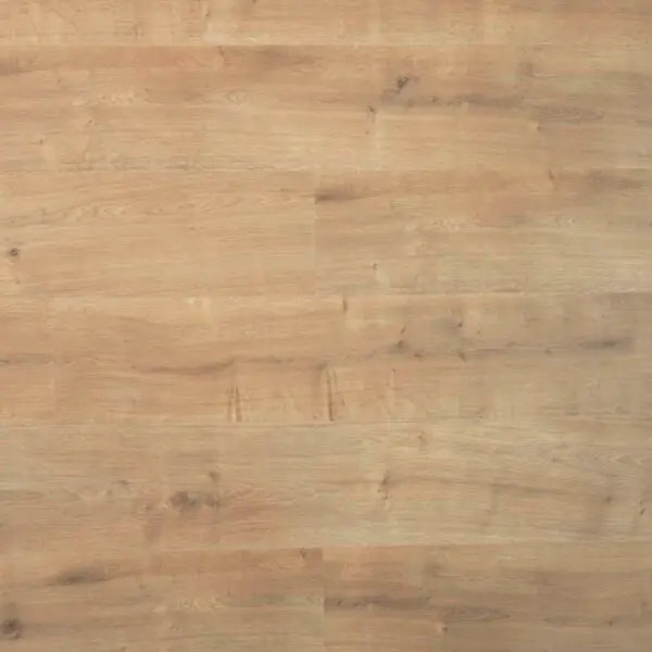 DOUWES DEKKER - PLANK SAFFRAAN