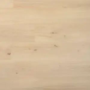 DOUWES DEKKER - PLANK DRAGON