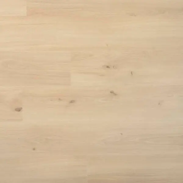 DOUWES DEKKER - PLANK DRAGON