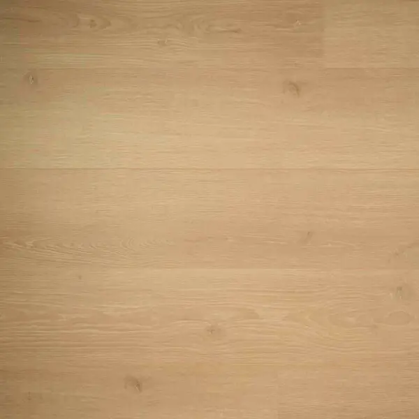 DOUWES DEKKER - BREDE PLANK KAMILLE