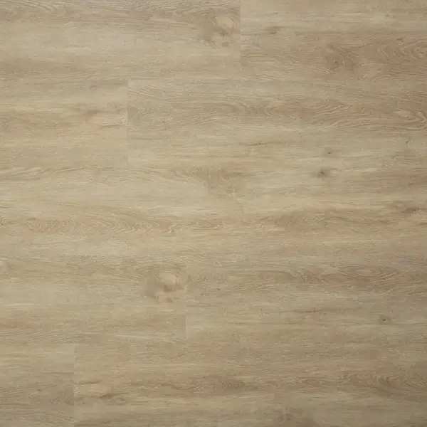 SENSE - E55 EIR SPC G 123X22,5 CM