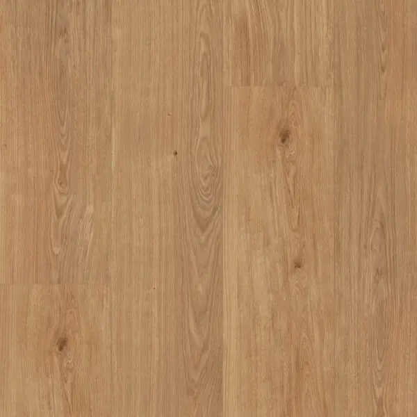 FLOORIFY - XL PLANKS CLICK - TOFFEE