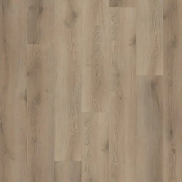 Hoomline Stilleven Van Gogh 230