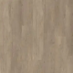 Hoomline Stilleven Van Ruysdael