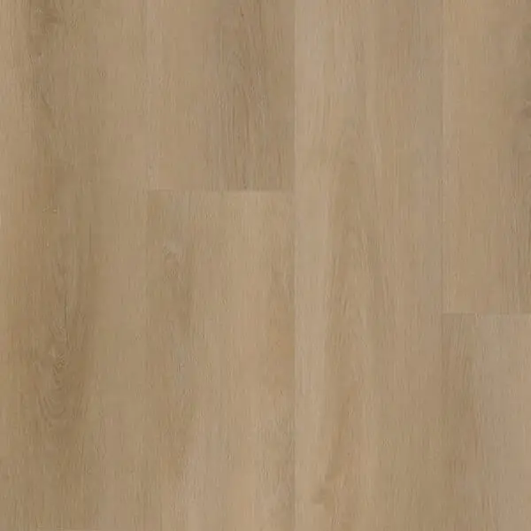 BELAKOS - Attico 810