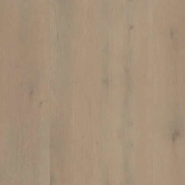 BELAKOS - Attico 820