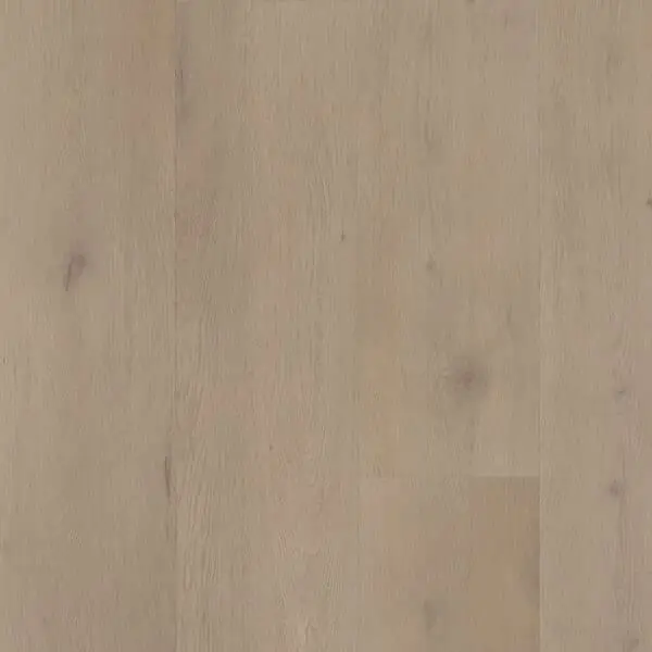 BELAKOS - Attico 830