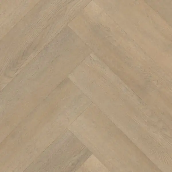 BELAKOS - Palazzo visgraat XL 71