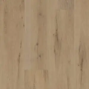BELAKOS - Attico 800