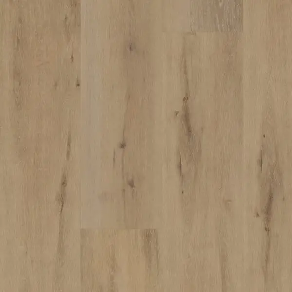 BELAKOS - Attico 800